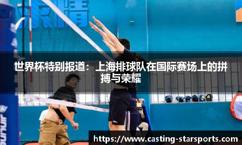 世界杯特别报道：上海排球队在国际赛场上的拼搏与荣耀